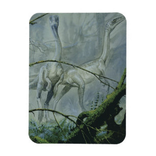 Magnet Flexible Dinosaures vintage, Megapnosaurus alias Syntarsus