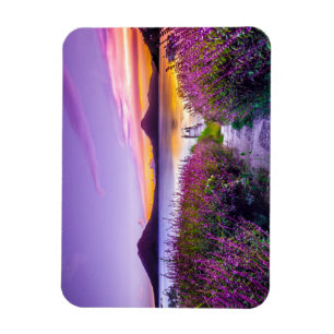 Magnet Flexible dock en bois brun entre le champ de fleurs de lava