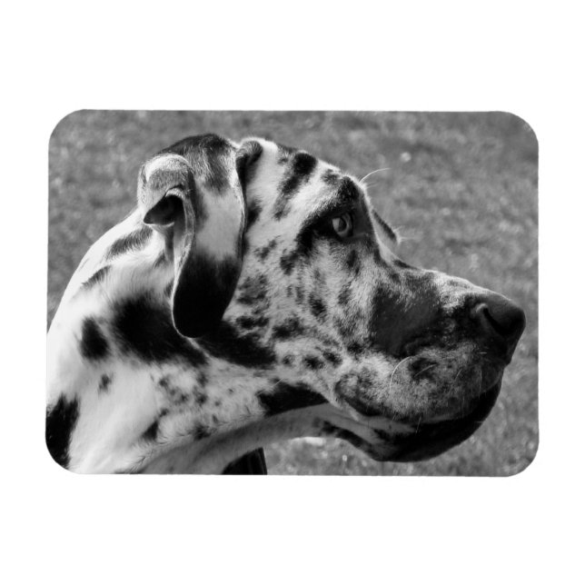 MAGNET FLEXIBLE DOGUE ALLEMAND (Horizontal)