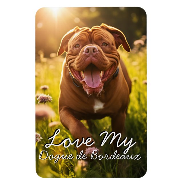 Magnet Flexible Dogue de Bordeaux Frigo personnalisé (Vertical)