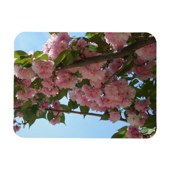 Magnet Flexible Double Blossoming Cherry (Horizontal)