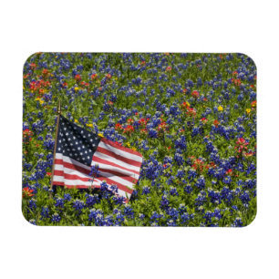 Magnet Flexible Drapeau américain dans un champ de bleuets, 2