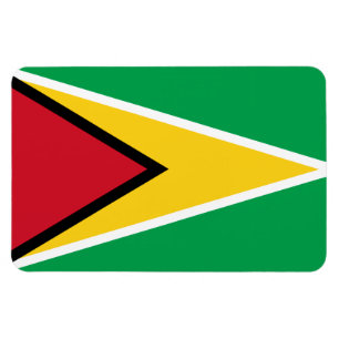 Magnet Flexible Drapeau de Guyana