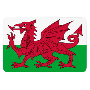 Magnet Flexible Drapeau du Pays de Galles