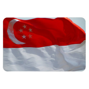 Magnet Flexible drapeau singapour