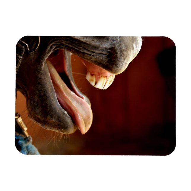 Magnet Flexible Drôle Cheval avec Bouche Ouverte, Tongue Sticking  (Horizontal)