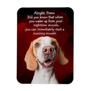 Magnet Flexible Drôle chien pensée aimant