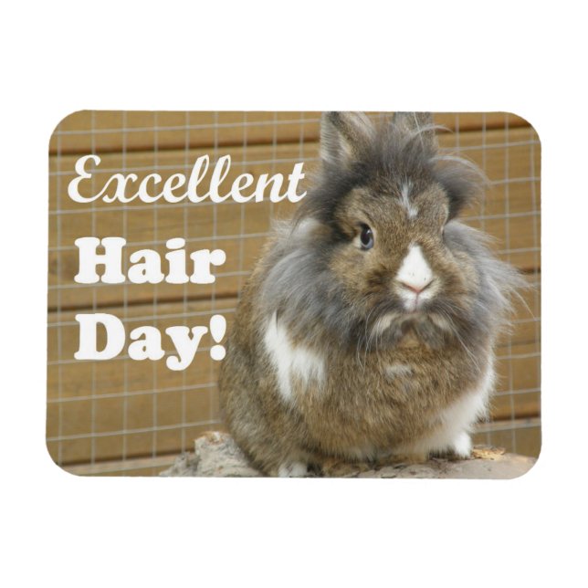 Magnet Flexible Drôle "Excellente journée des cheveux" pour lapin (Horizontal)