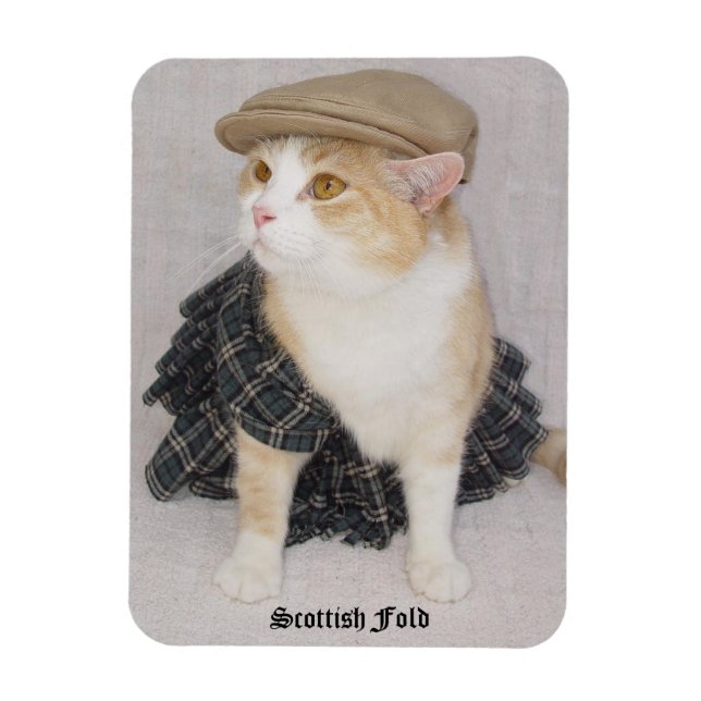 Magnet Flexible Drôle Scottish Pold Cat/Kitty dans un Kilt (Vertical)