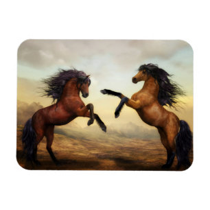 Magnet Flexible Dueling Stallions peinture aimant