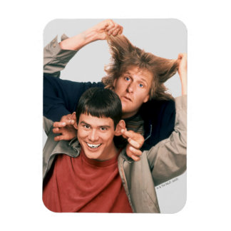 Magnet Flexible Dumb et Dumb | Lloyd et Harry
