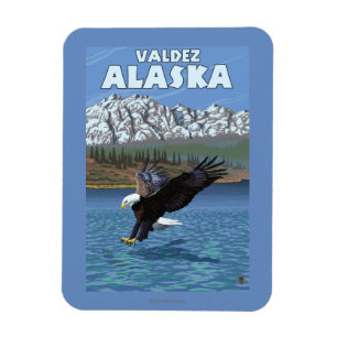 Magnet Flexible Eagle chauve plongeant - Valdez, Alaska