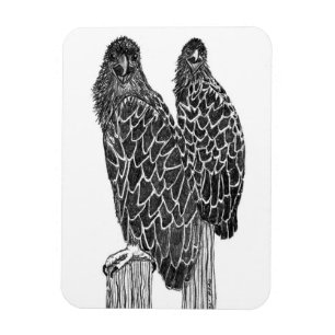 MAGNET FLEXIBLE EAGLE SIBLINGS S'AMUSER LOUNGING + PÊCHE À L'ÉTANG