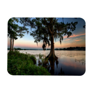 Magnet Flexible Eau   Kraft Azalea Park Maitland Floride