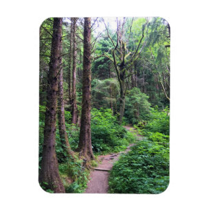Magnet Flexible Ecola State Park, Cannon Beach, Oregon