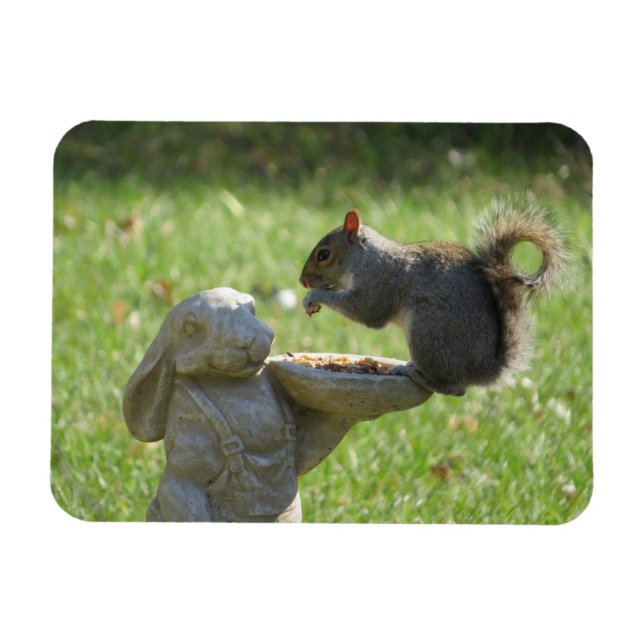 Magnet Flexible Écureuil affamé sur le mangeur de lapin (Horizontal)