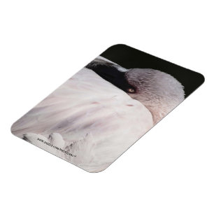 Magnet Flexible Effet de dessin de portrait de flamant rose Art