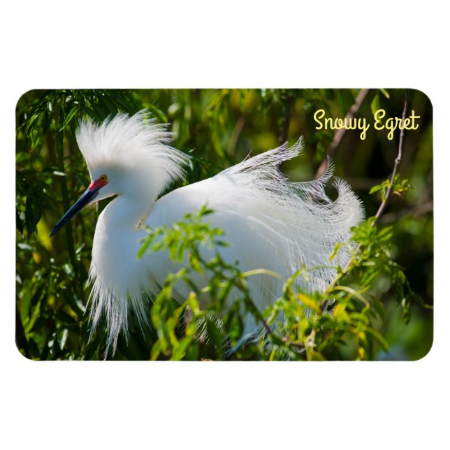 Magnet Flexible Egret neigeux (Horizontal)