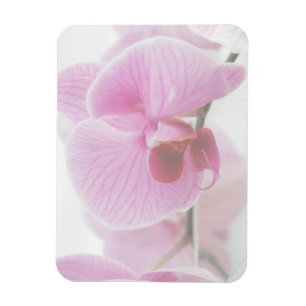 Magnet Flexible Élégante photo d'orchidée rose