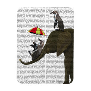 Magnet Flexible Éléphant et pingouin