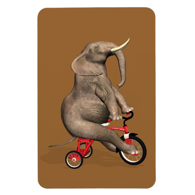 Magnet Flexible Eléphant Gentil À Tricycle (Vertical)