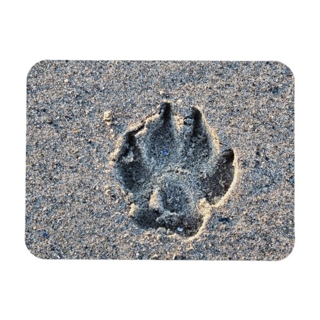 MAGNET FLEXIBLE EMPREINTE DANS LE SABLE (Horizontal)