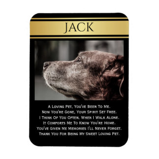Magnet Flexible En Mémoire D'Un Animal Perdu