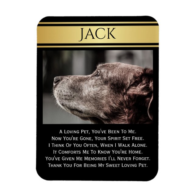 Magnet Flexible En Mémoire D'Un Animal Perdu (Vertical)