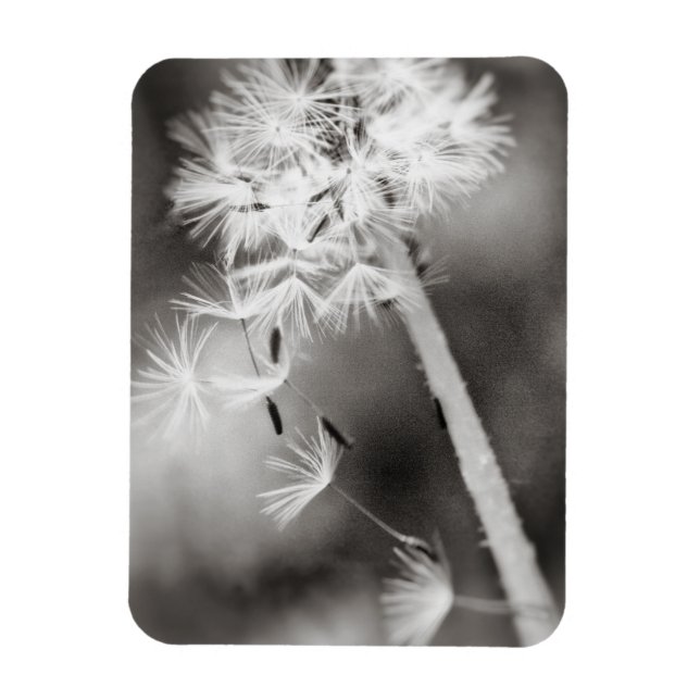 Magnet Flexible Envoi de souhaits (Vertical)