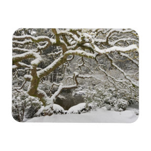 Magnet Flexible Érable japonais couvert de neige