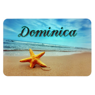 Magnet Flexible Estarfish de Dominique