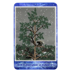 Magnet Flexible Et Une Porcupine Dans Un Pin Tree