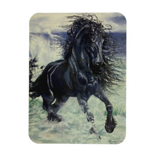 Magnet Flexible Étalon de noir "de tempête frisonne" en mer