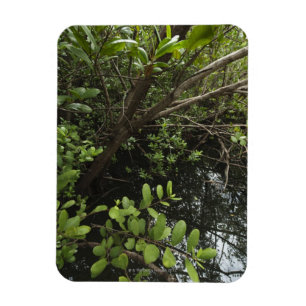 Magnet Flexible Étang tropical de sel