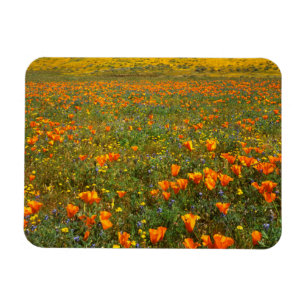 Magnet Flexible États-Unis, Californie, Antelope Valley, Californ