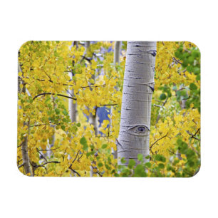 Magnet Flexible États-Unis, Colorado, Montagnes Rocheuses. Intime 