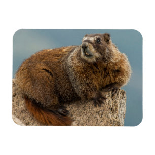 Magnet Flexible États-Unis, Colorado, Monts San Juan 2