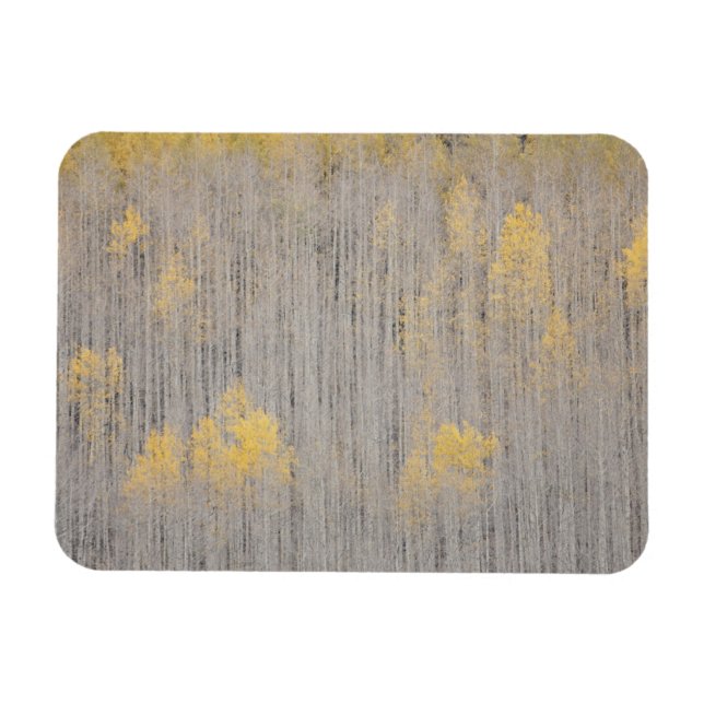 Magnet Flexible États-Unis, Colorado, White River National Forest. (Horizontal)