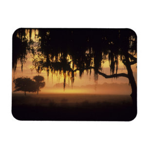 Magnet Flexible États-Unis, Floride, lac Kissimmee. Silhouette du