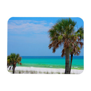 Magnet Flexible États-Unis, Floride. Palmiers Sur La Côte D'Émerau