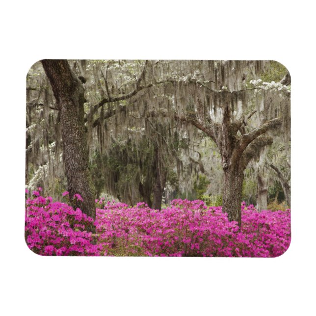 Magnet Flexible Etats-Unis, Géorgie, Savannah, Printemps de l'hist (Horizontal)
