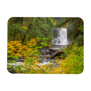 Magnet Flexible États-Unis, Oregon, Silver Falls State Park 2