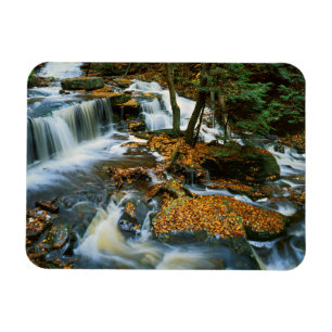 Magnet Flexible États-Unis, Pennsylvanie, Parc d'État de Ricketts 