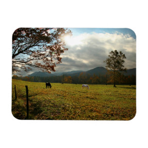 Magnet Flexible États-Unis, Tennessee. Horses in Cades Cove Valley