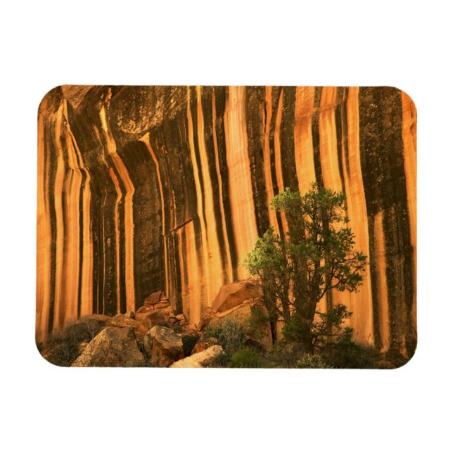 Magnet Flexible États-Unis, Utah, Parc national du récif du Capito (Horizontal)