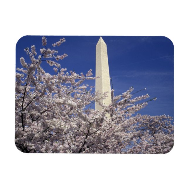 Magnet Flexible États-Unis, Washington DC. Festival Cherry Blossom (Horizontal)