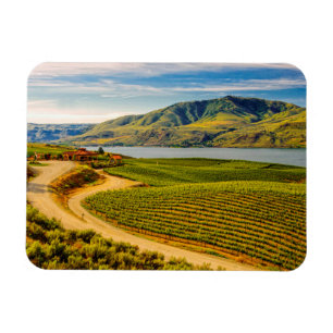 Magnet Flexible États-Unis, Washington, Lac Chelan. Les vignobles