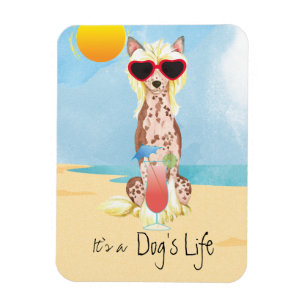 Magnet Flexible Été Chinois arrêté