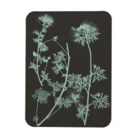 Étude sur la nature de la menthe et du charbon de 