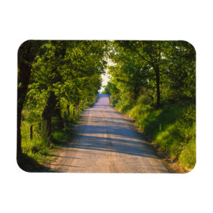 Magnet Flexible Europe, Italie, Toscane, route bordée d'arbres
